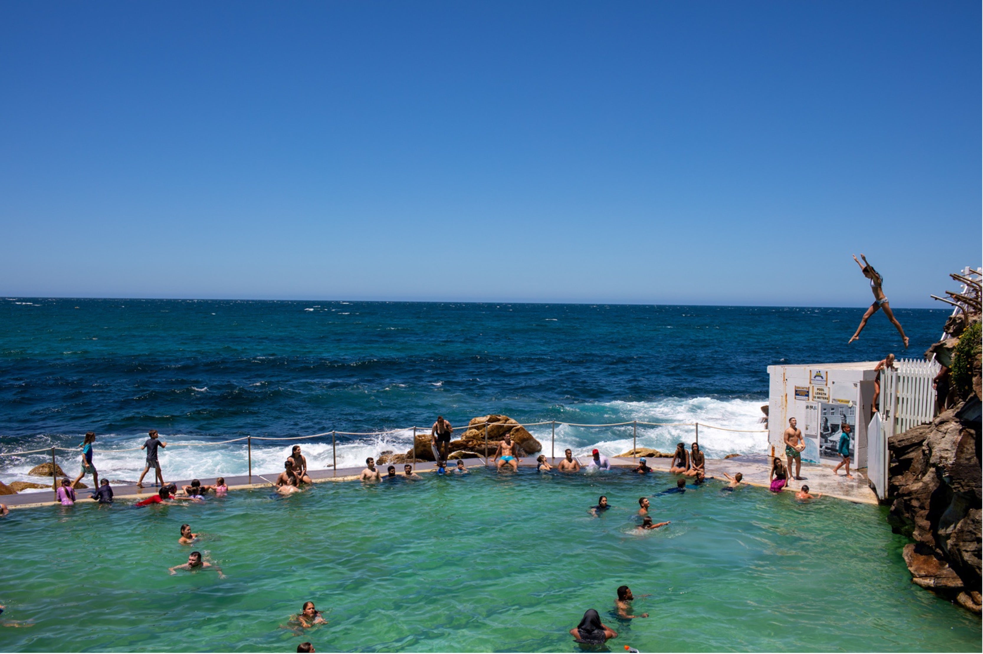 The more we return to nature, the more we seek to protect it. Koala