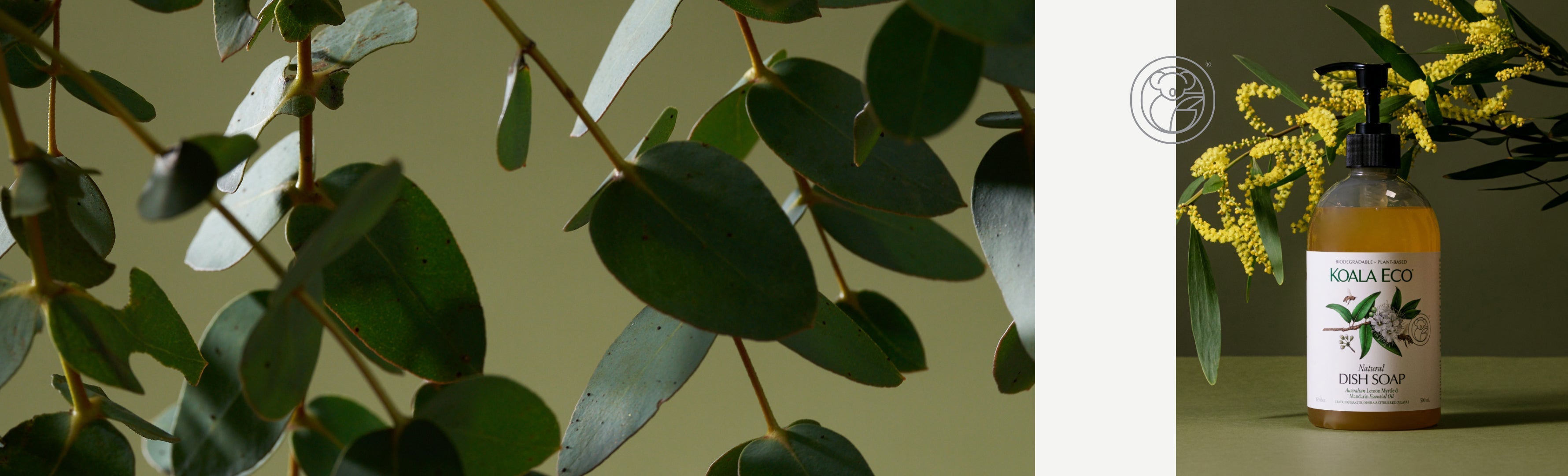 What dish soap is safe for plants? – Koala Eco USA