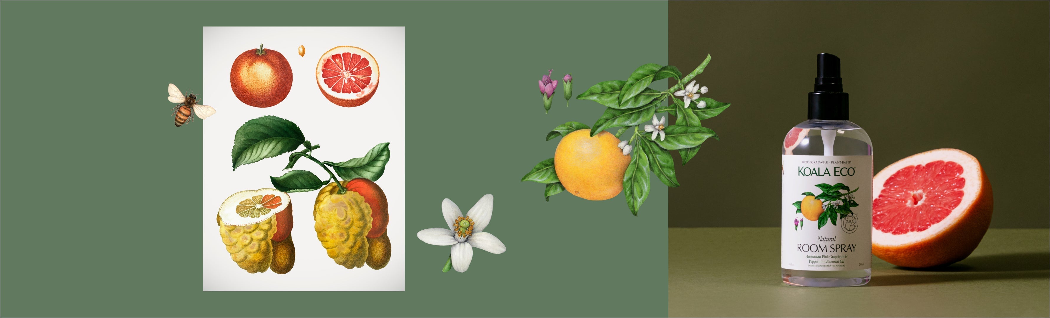 【バラOK】エール　SYセット The Sunday Reset - Inspired by Pink Grapefruit [Citrus paradisi