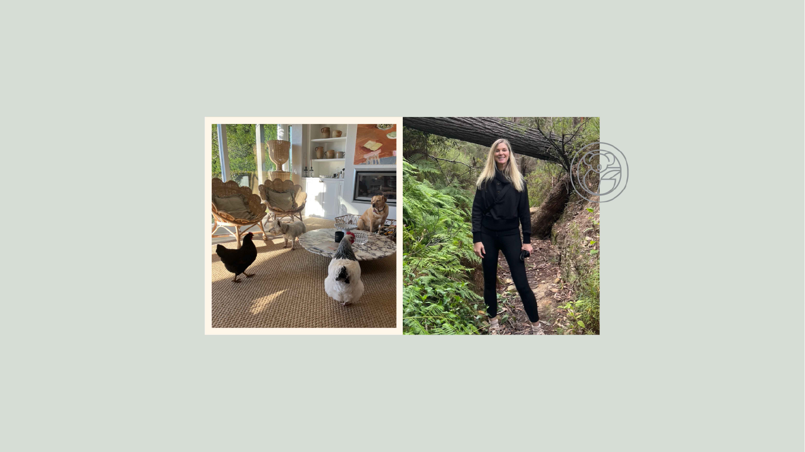 Finding peace and healing in the country how nature soothes A