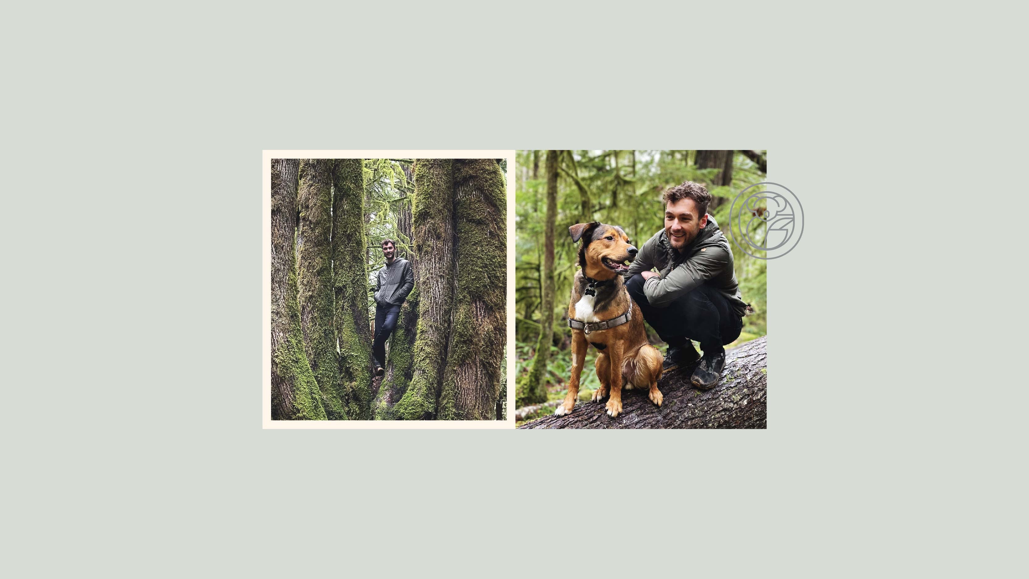 Metaphors for living a fulfilling life with Nic Smith USA Koala Eco