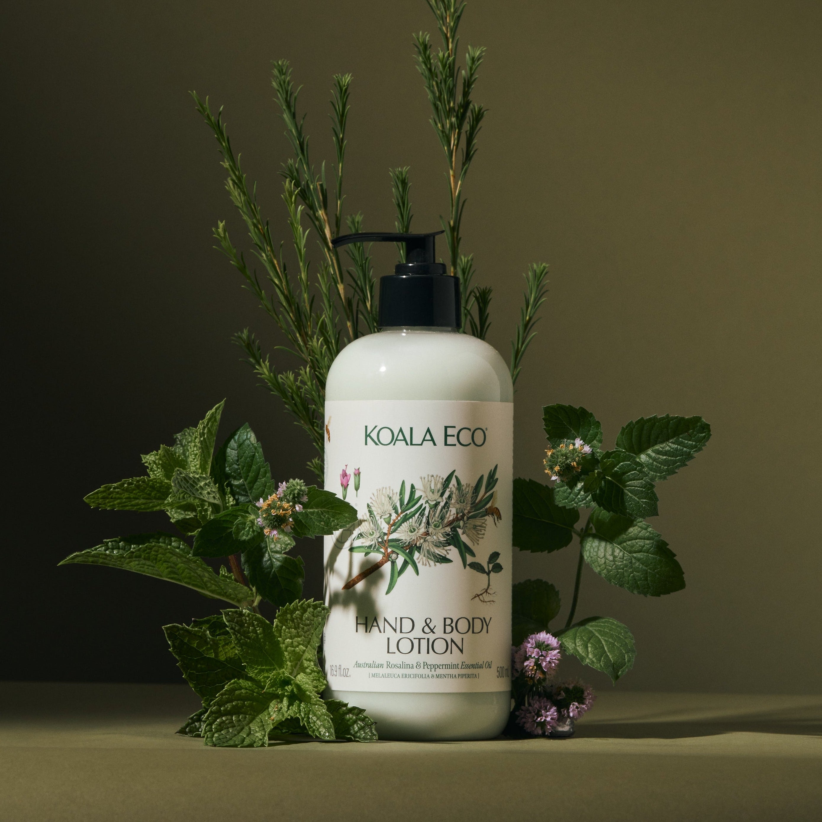 Natural Hand & Body Lotion – Koala Eco USA