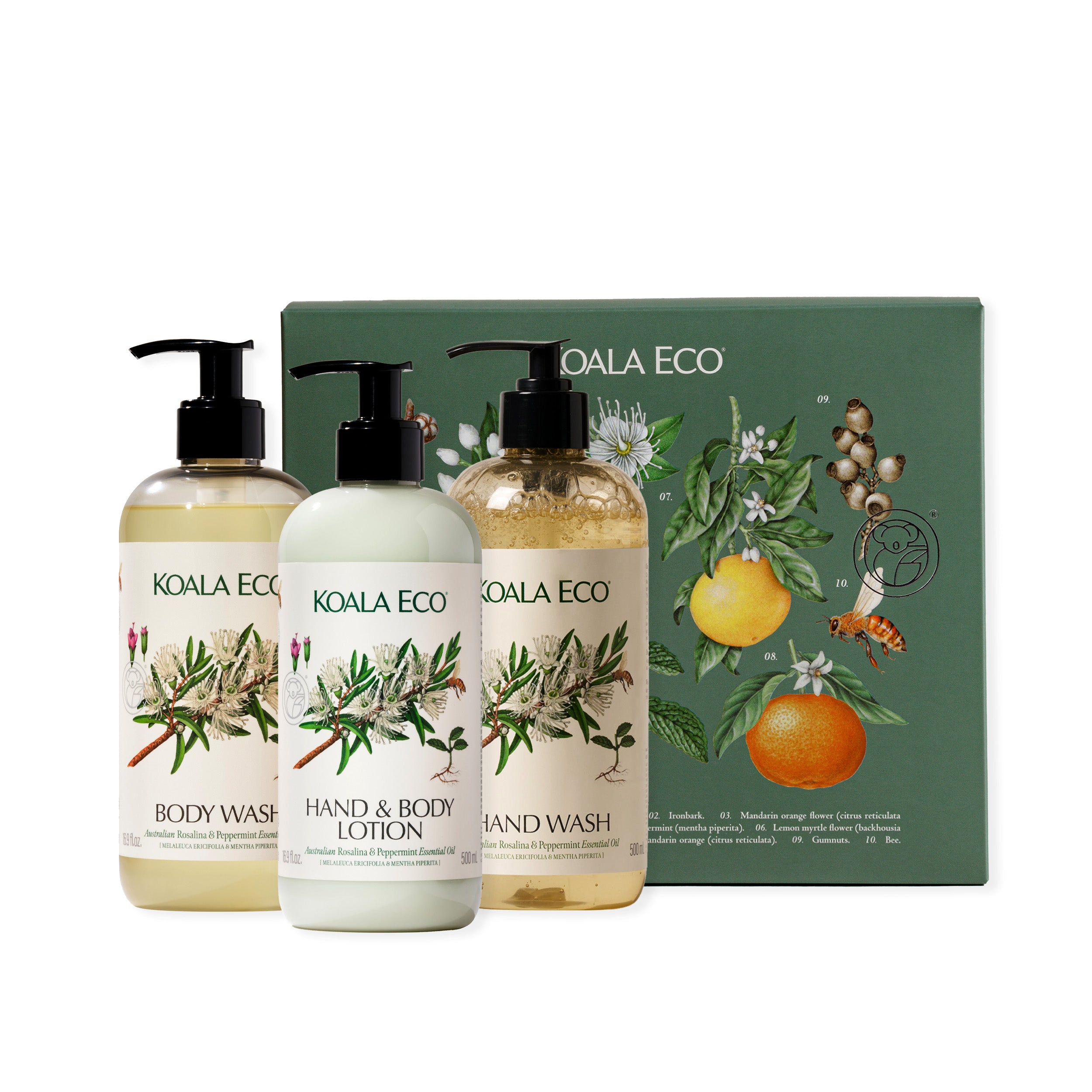 Naturalist – Koala Eco USA