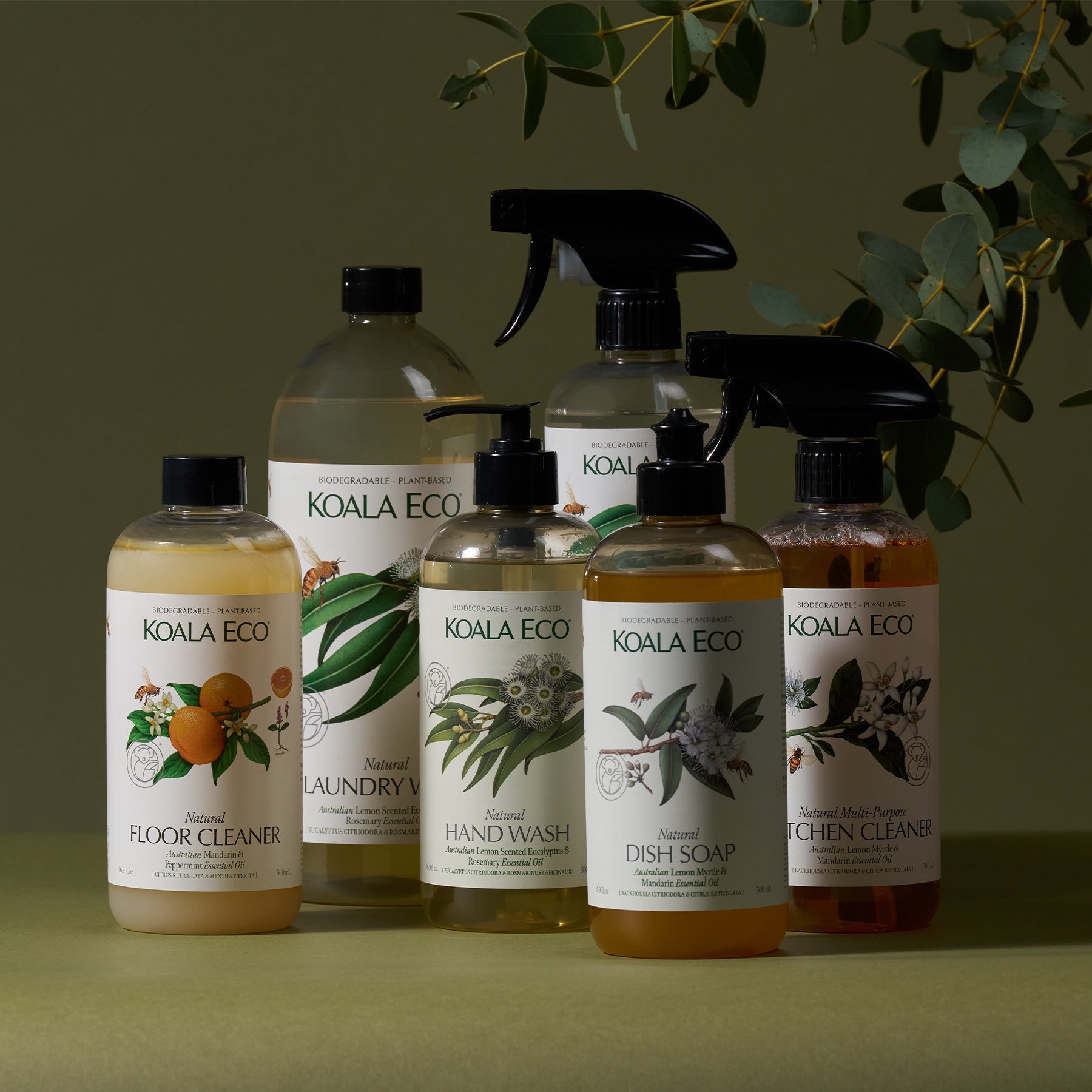 Best Seller Collection – Koala Eco USA
