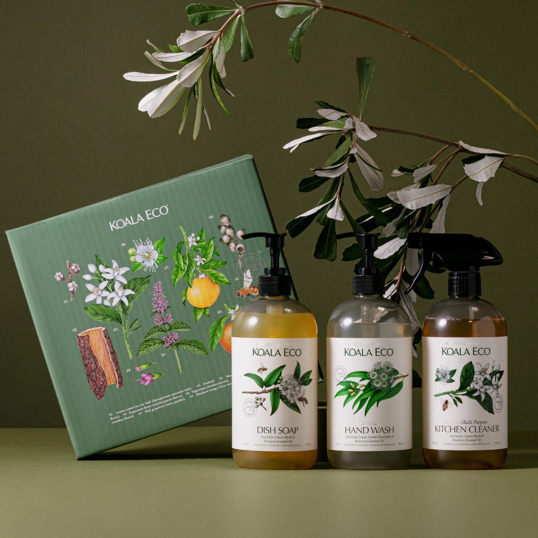 Nature Studies – Koala Eco USA