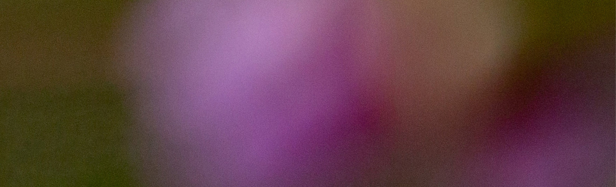 Capture the Spirit of Spring: Thoughtful Guide to Refreshing Your Home