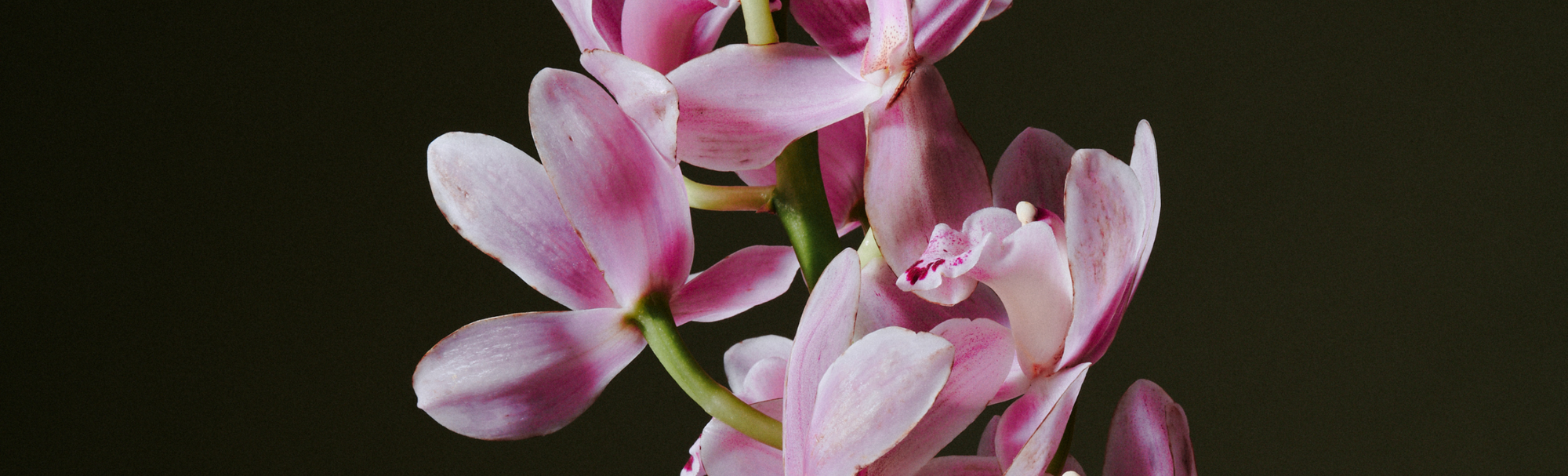 5 Simple Ways to Reduce Exposure to Toxic Chemicals at Home