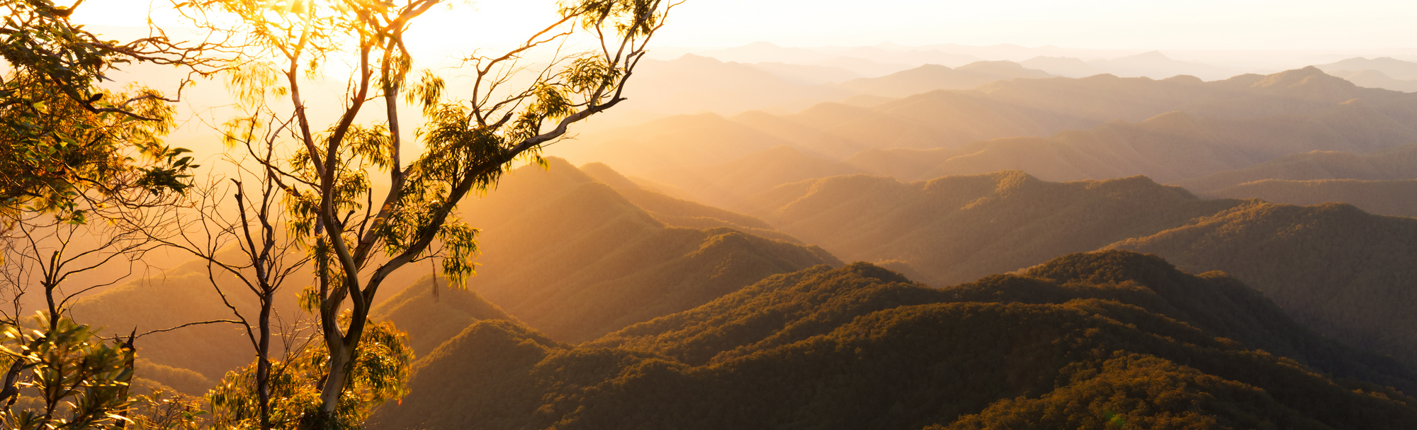 On Caring for the Mind, Without Urgency