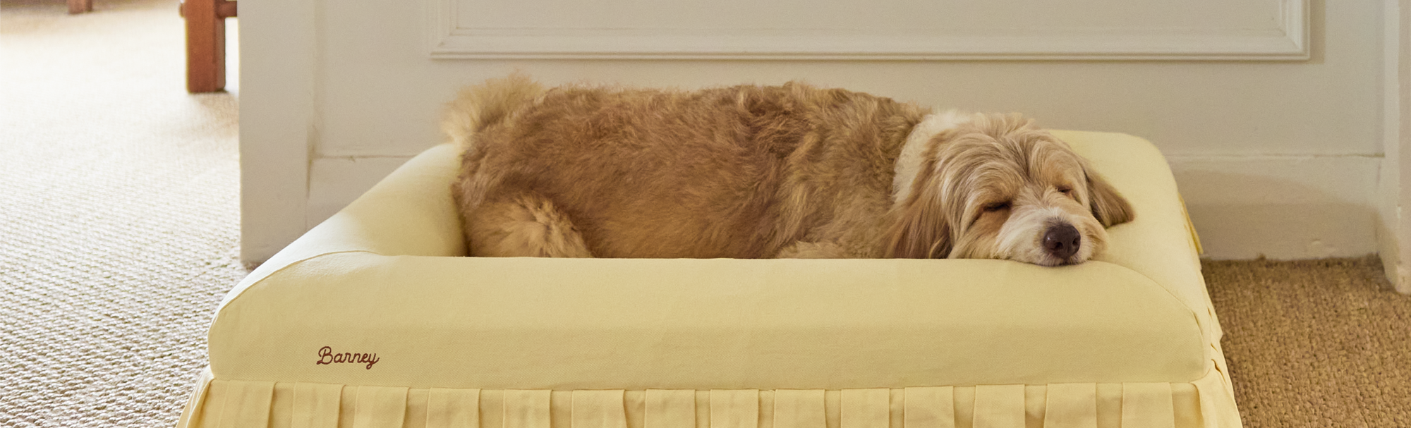 How to Clean Dog and Pet Bedding Naturally