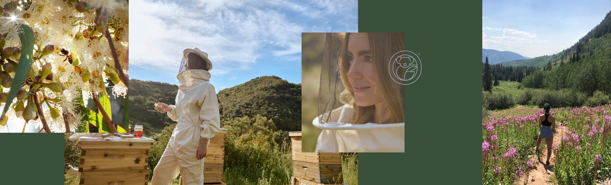 Rethinking Wellness Through the Wisdom of the Hive
