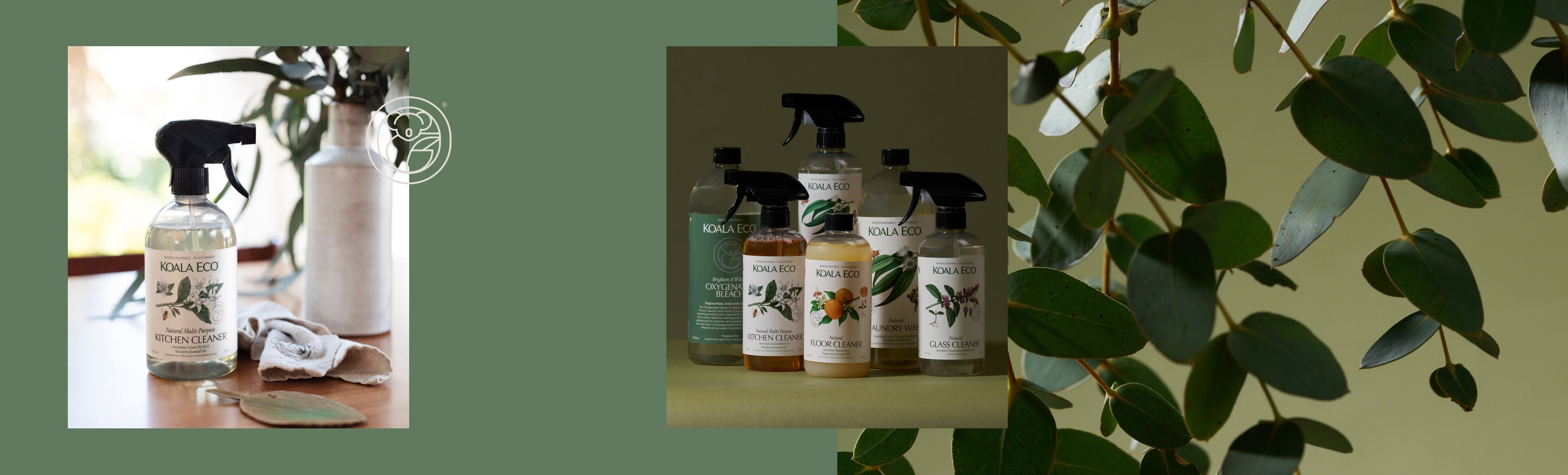 A Beginner's Guide to Koala Eco – Koala Eco USA