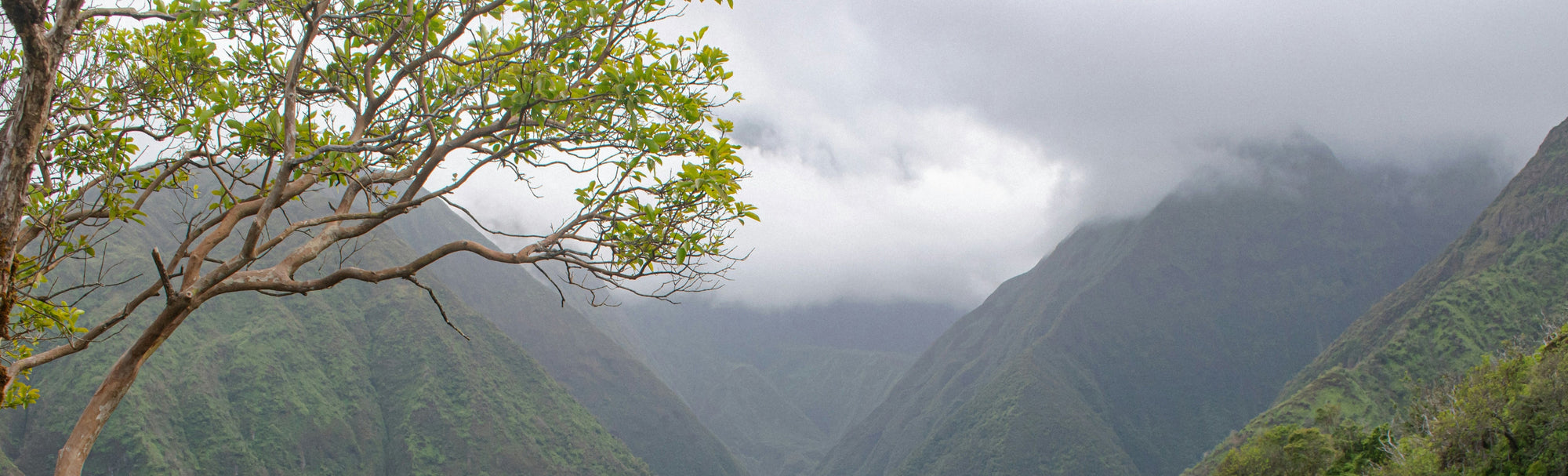 Land that teaches and heals