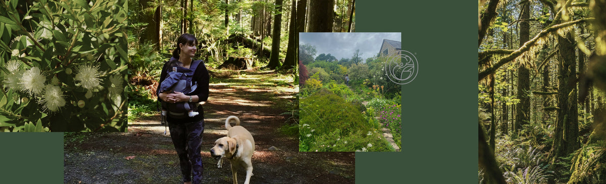 How a Weekly Walk in Nature Became a Lifeline