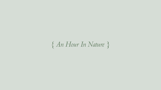 Notes from a Natural Way of Life