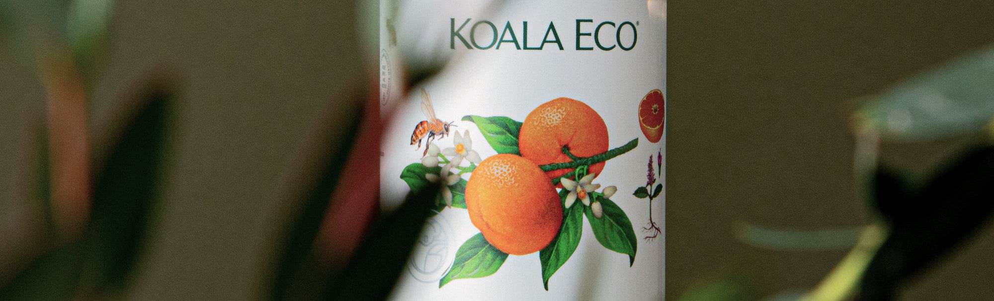 Spring Cleaning as Attunement