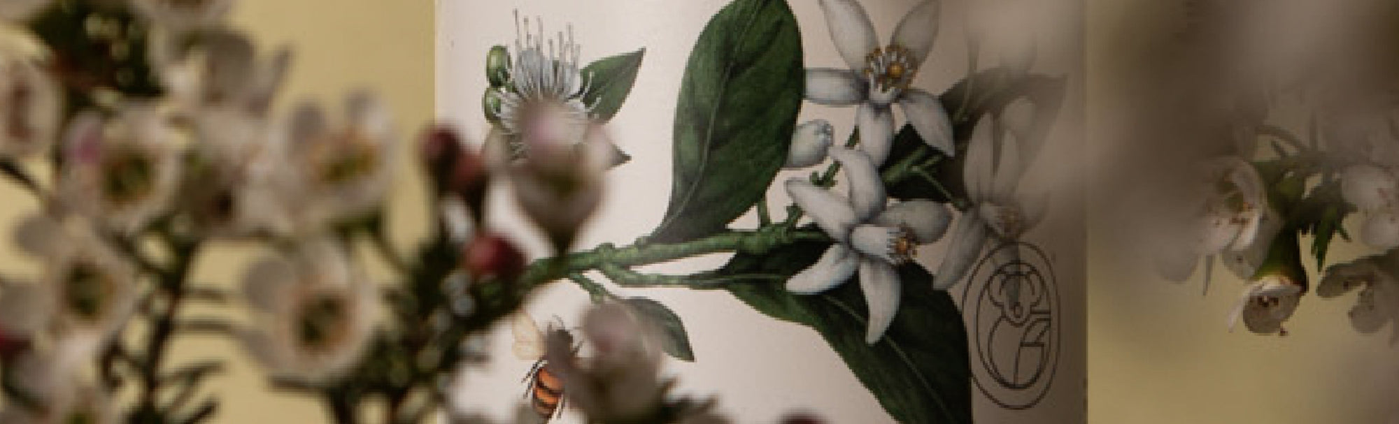 The Comprehensive Spring Cleaning Checklist