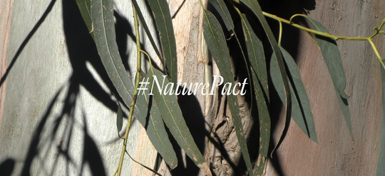#NaturePact: Healthy Country, Healthy People