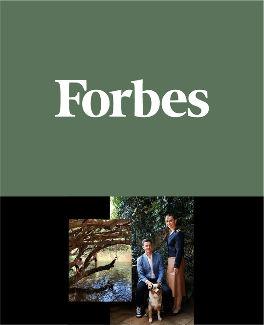 Forbes | More Sustainable Everyday Cleaners