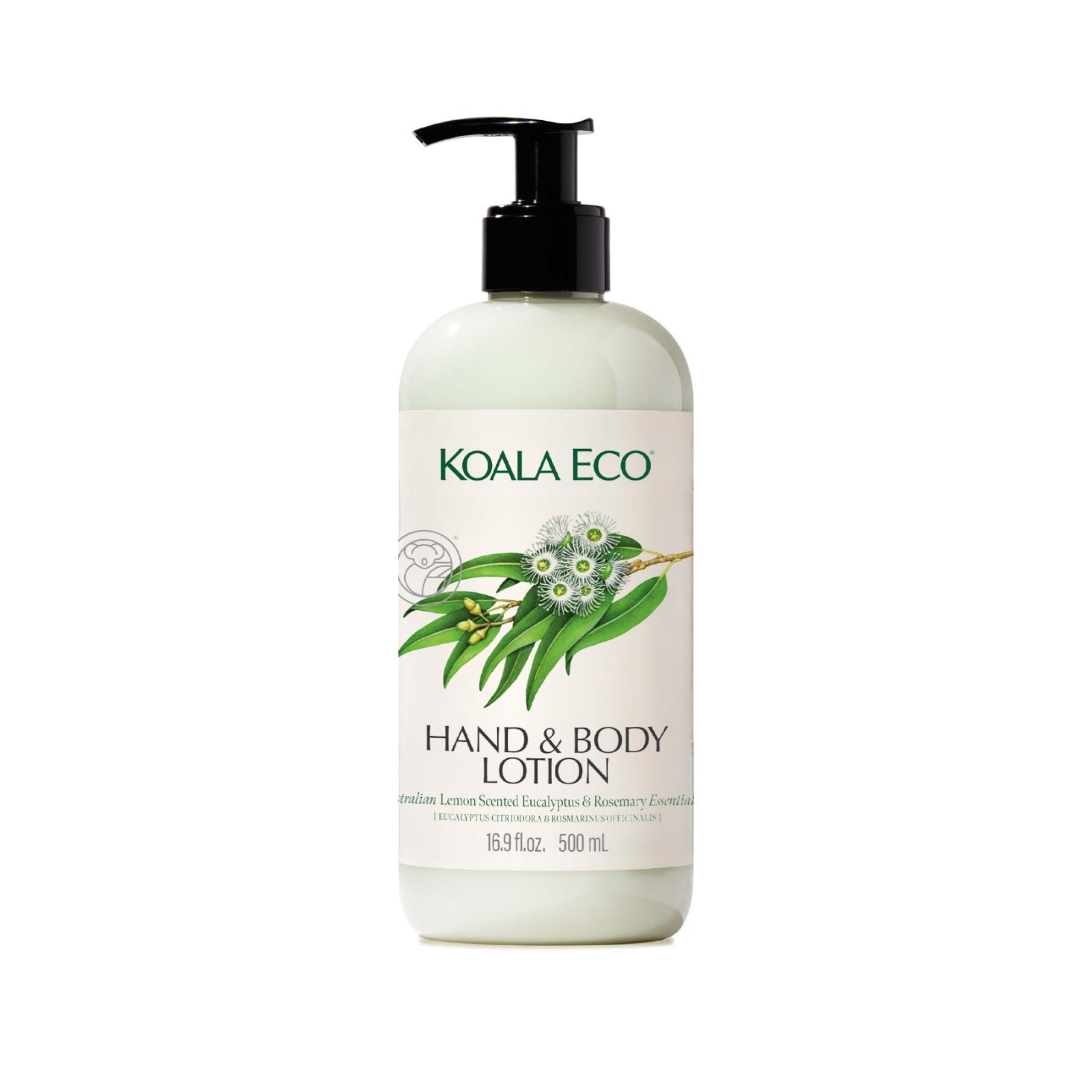 Hand & Body Lotion