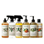 Best Seller Collection