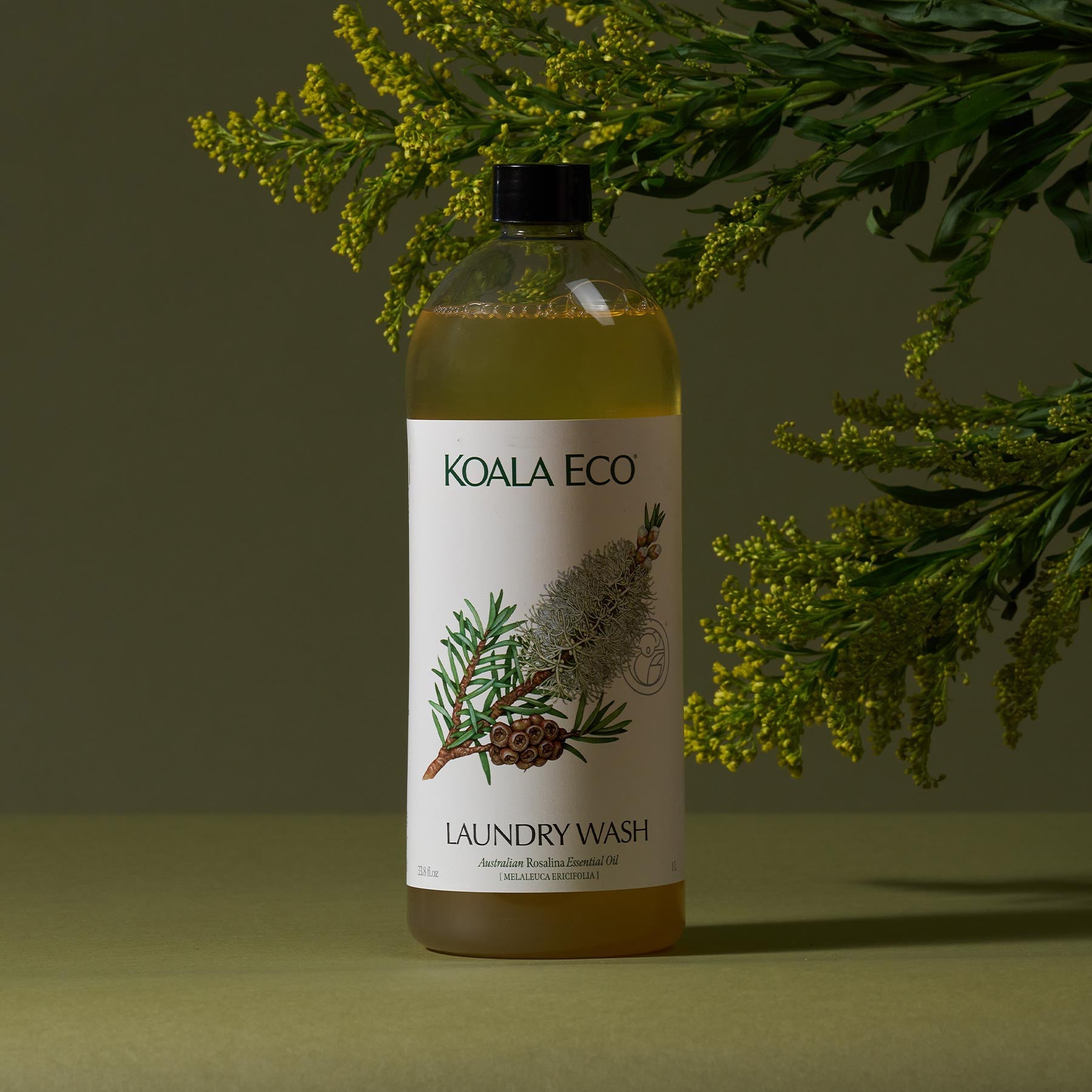 An Hour In Nature: Rebecca Jobson – Koala Eco USA