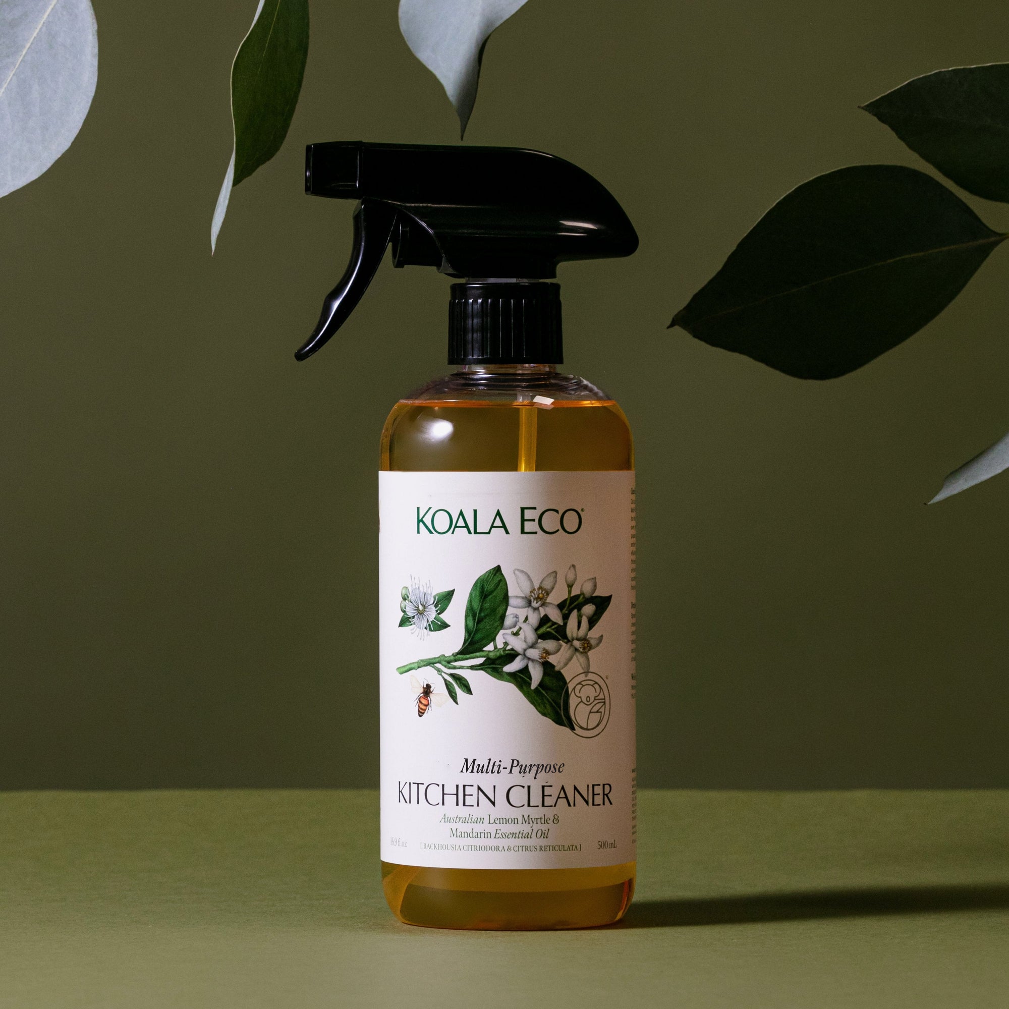 Kitchen Cleaner Duo